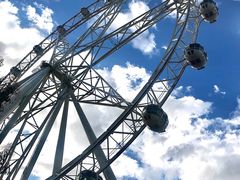 -墨尔本之星 观景摩天轮