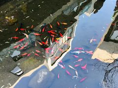 -泉乐坊步行街(烟酒特产平价超市店)