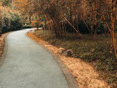 -火炉山森林公园