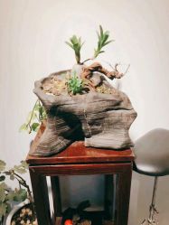 -周忆刺青原创设计定制