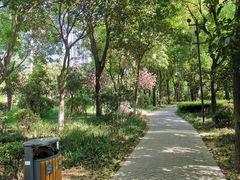 -唐城墙遗址公园