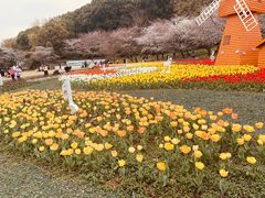 -苏州上方山国家森林公园