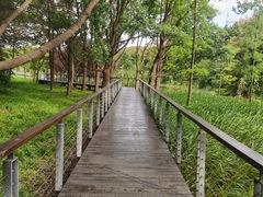 -昆山城市生态森林公园