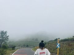 -阳台山自然风景区