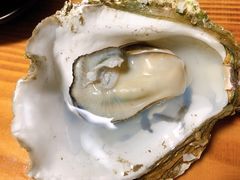 -大富蚝乌东哥饭店·石锅鱼杂·柠檬鸭(革新路店)