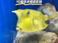 -多彩贵州城极地海洋世界