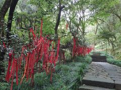 -梦姑塘文化公园