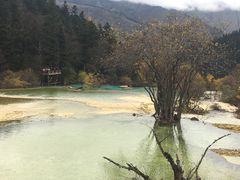 -黄龙山原始森林景区