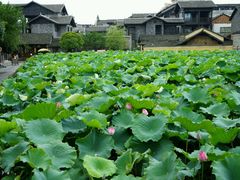 android_upload_pic-乾州古城