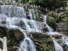 -鼎湖山风景区