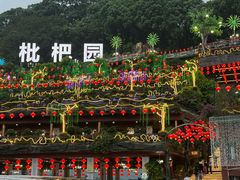 -枇杷园食为鲜火锅(南山店)