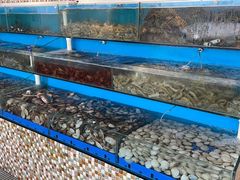 -港畔赶海蒸汽海鲜烧烤自助(仙螺岛店)