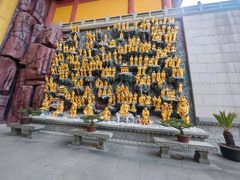 -上海东林寺(金山区)