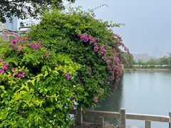 -默迹咖啡馆