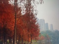 -重庆彩云湖湿地公园