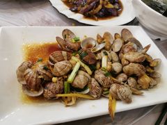 爆炒花蛤-金海湾海鲜排档(朱家尖店)