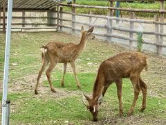 -杭州湾海上花田景区