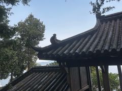 -千岛湖东南湖区