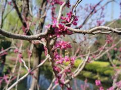 -杭州城北体育公园