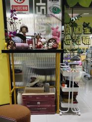 -洗脸猫·洗脸吧(北京大兴大悦春风里店)