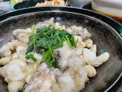 啫啫大石斑-石岐乳鸽村(南海第三分店)