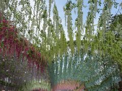 -田野绿世界
