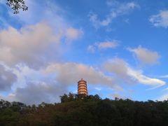 -深圳国际园林花卉博览园