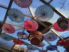 -丽江庭院之丽江往事(安定门店)