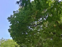 -同里国家湿地公园