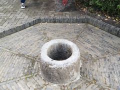 -上海佘山国家森林公园天马山园