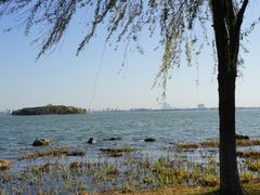 -金鸡湖景区