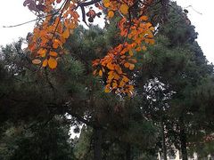 android_upload_pic-辽宁大学(崇山校区)