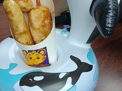 -珠海长隆海洋王国