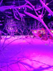 -圣名游乐城冰雪大世界