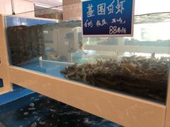 -双井轩(双井店)