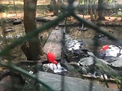 -卡塞拉自然公园