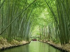 -同里国家湿地公园