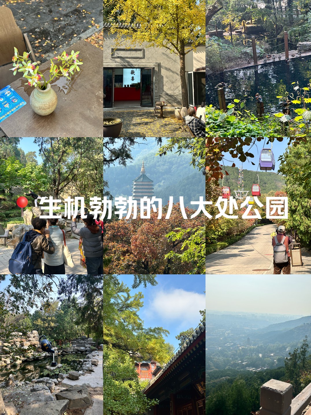 北京八大处公园介绍图片