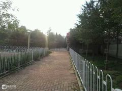 -黄村公园