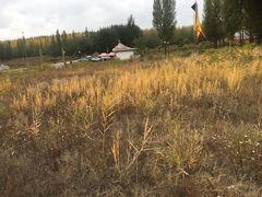 -赛汗塔拉风情园