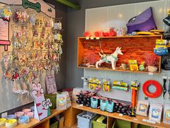 -爪吧宠物乐园 (温榆河示范区店)