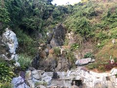 -梧桐山风景名胜区