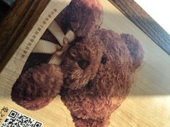 -必胜客(上海新南方商城PH店)
