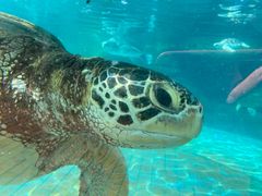 -海合安成都极地海洋公园