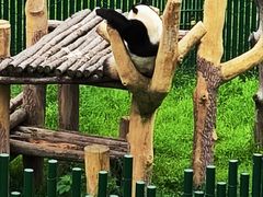 -沈阳森林动物园