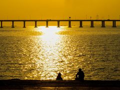 -宝安西湾红树林湿地公园