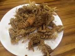 -昆山招商花园城