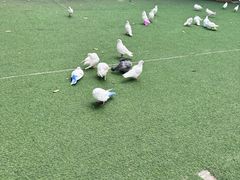 -成都欢乐谷