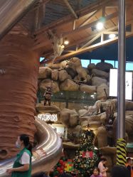 -卡通尼·Safari非洲探索乐园·生日会(金桥国际商业广场店)