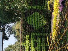 -南山植物园